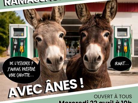 Éco-balade avec des ânes
