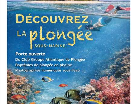 Baptêmes de plongée en piscine