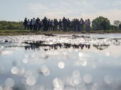Promenade photo en Brière