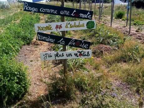 Marché de l'artisanat à Fédrun
