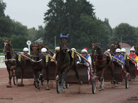 Courses en double-sulky