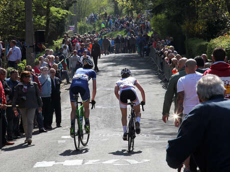 La Flèche wallonne La Flèche wallonne