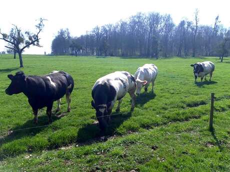 Ferme Laruelle
