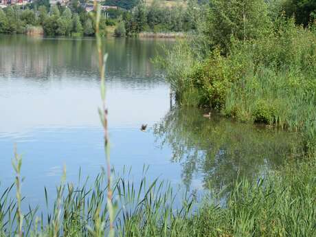 Visite guidée du lac de la Gravière à Amay