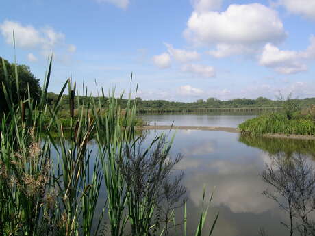 Aquascope - Virelles Nature ASBL