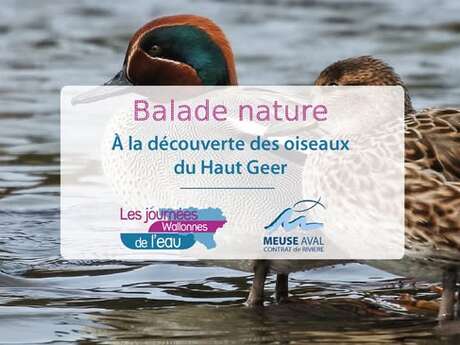 A la découverte des oiseaux du Haut Geer A la découverte des oiseaux du Haut Geer