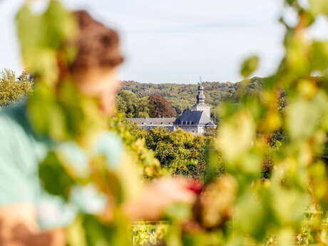 Visite et dégustation ouverte au public au château de Fumal