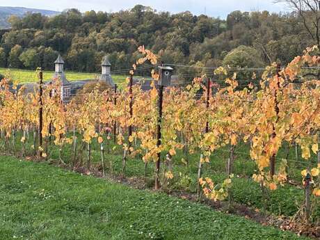 Vignoble des Terres du Val