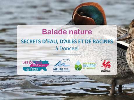 Secrets d'eau, d'ailes et de racines