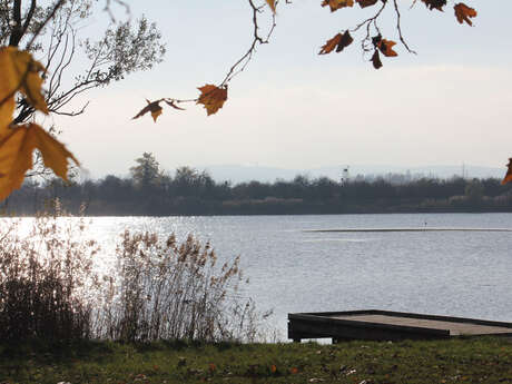 Les Etangs d'Or - Parc Eco Loisirs de Merceuil Tailly