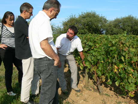 L'Atelier de la Vigne et du Vin