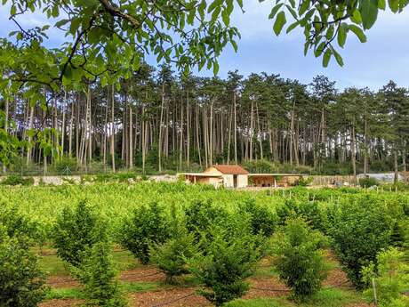 Balade, découverte et dégustation dans un Clos Bourguignon : le Clos de la Belle Châtelaine