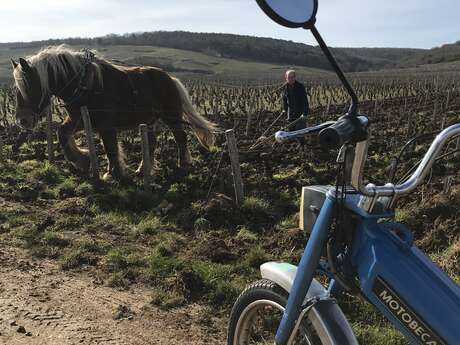 Les Mobylettes de Chorey