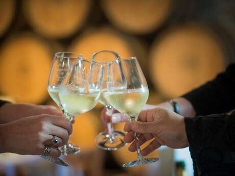 Visite Dégustation & Mâchon dans un domaine viticole