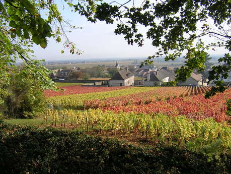 PULIGNY-MONTRACHET