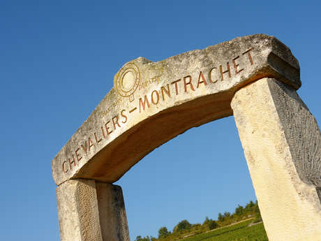 CHASSAGNE-MONTRACHET