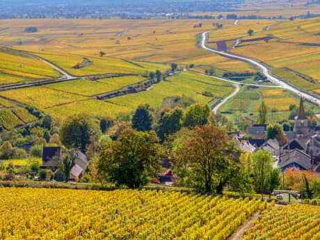 Wine and Tours - Séjour en Côte de Beaune- 1 jour  / 1 nuit