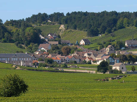 VOLNAY