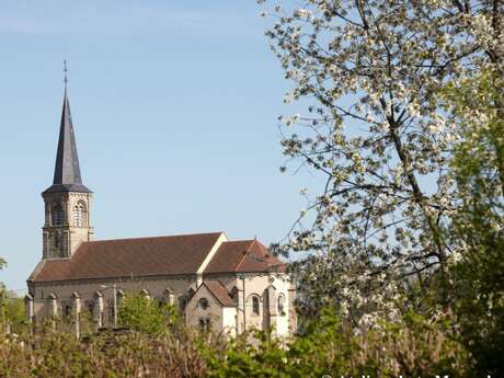 AUBIGNY-LA-RONCE