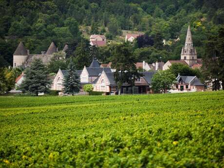 SAVIGNY-LES-BEAUNE