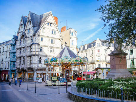 Angers, entre patrimoine et symbole végétal