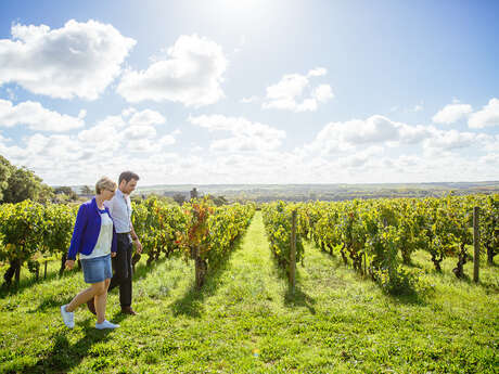 Thirst for flavours in Anjou