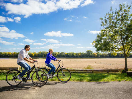 La ruta en bicicleta La ruta en bicicleta