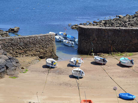 Au Parassinia d'Isa - Sorties nature et animations