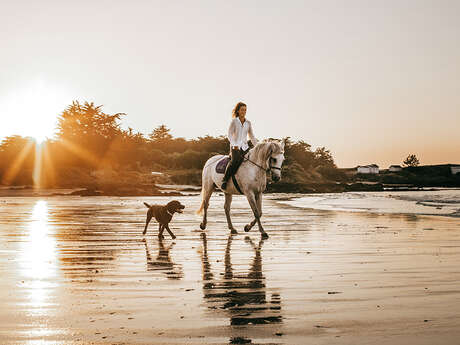 Balade à cheval sur la plage ou la côte sauvage