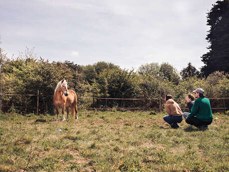 Atelier connaissance du cheval et équitation éthologique pour ado avec Romane Equi Coaching