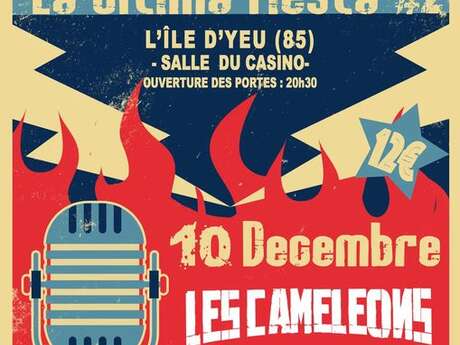 Concerts : Les Caméléons, Strollad et The Greenings