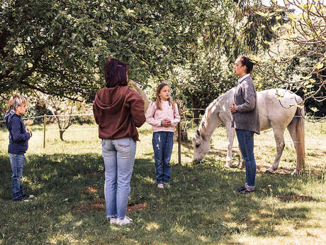 Atelier enfants : découverte du monde du cheval