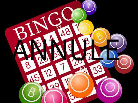 ANNULATION Bingo