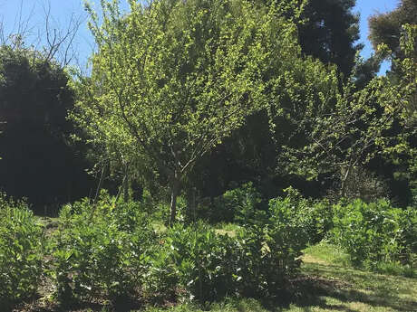 Atelier Forêt jardin nourricière à la Ferme d'Emilie