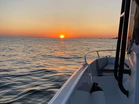 Tour de l'île en bateau avec Seabird