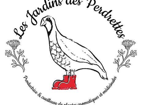 Atelier jardin d’aromatique aux Jardins des Perdrettes