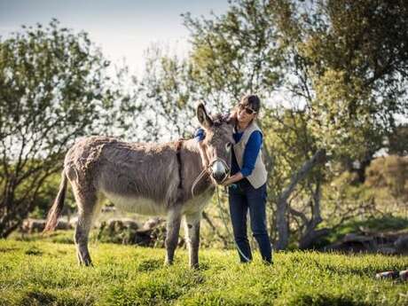 Visite de la Ferme d'Emilie et ses animaux