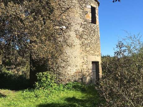 Visite - Entre fermes et chemins creux, focus sur l’histoire agricole de l’Ile d’Yeu