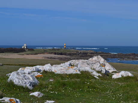 Algues et industrie de la soude à l'île d'Yeu