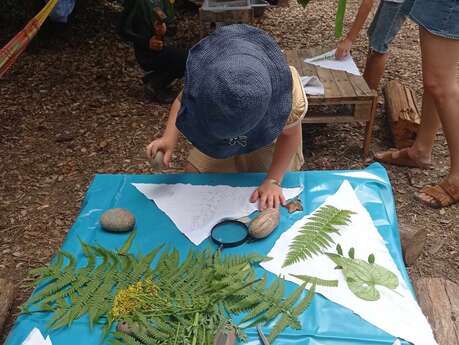 Stage : NATURE CRÉATIVE à la Clairière