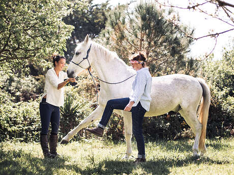 Atelier adulte equicoaching : Trouver sa place et gagner en confiance en soi avec le cheval