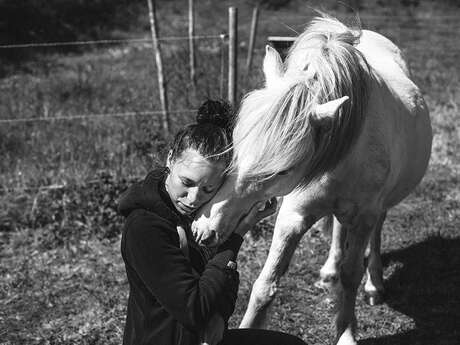 Atelier Caval Coaching pour adulte : Introspection et connexion aux émotions par le cheval