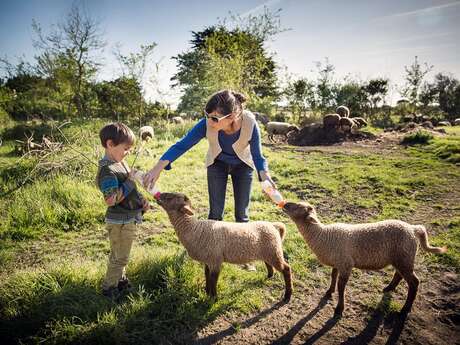 Atelier petit berger à la Ferme d'Emilie