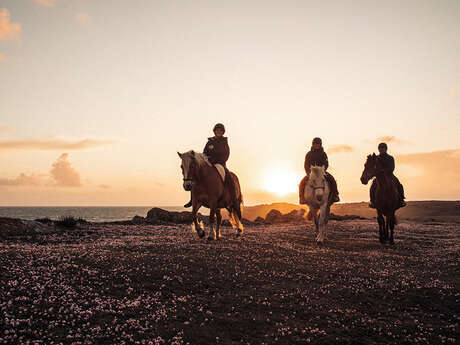 Stage : week-end yoga et chevaux