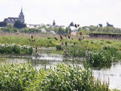Promenade en chaland avec Christophe Boisrobert