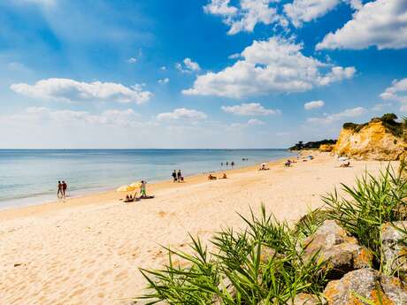 Du port de Tréhiguier à la Pointe de Pen Bé