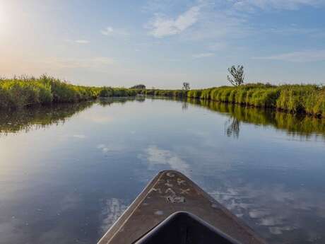 Balade en Brière avec Michel Moyon