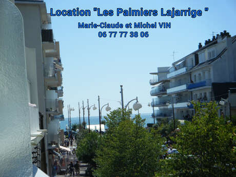 Location de vacances - Appartement 4 personnes - Les Palmiers Lajarrige - Mme VIN