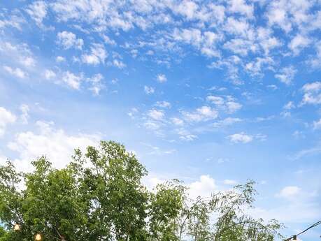 Kazen chez Steph