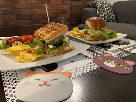 Matouccino Cat Café